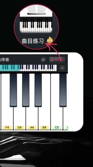 模拟钢琴app25.7.25