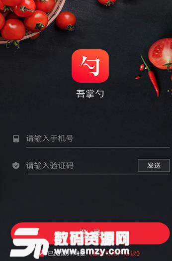 吾掌勺厨师版截图