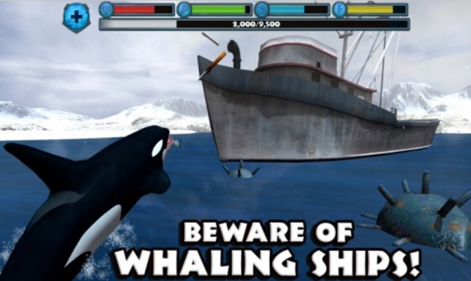 虎鲸模拟安卓版鲸鱼