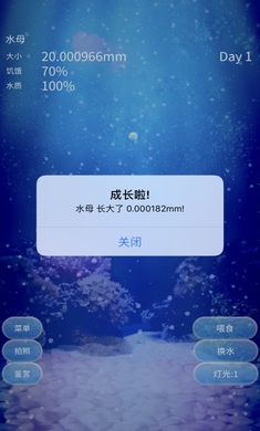 养育水母的治愈v4.6