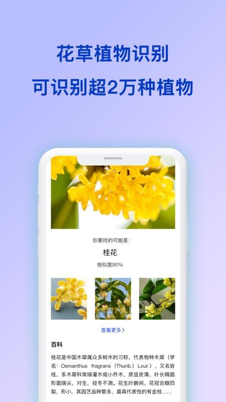 动物识别2.0.1