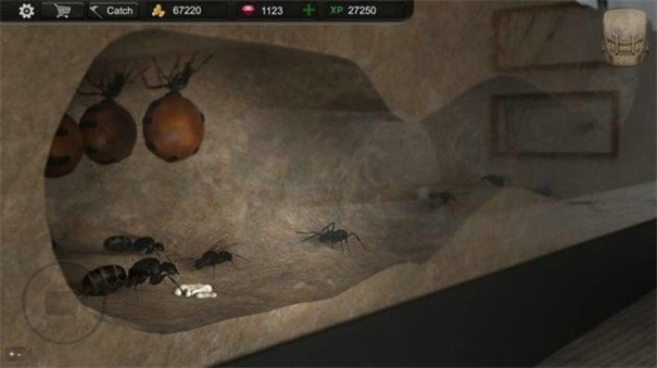 蚂蚁模拟大亨游戏v2.7