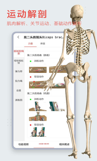 3dbody人体解剖学8.7.70 安卓最新版