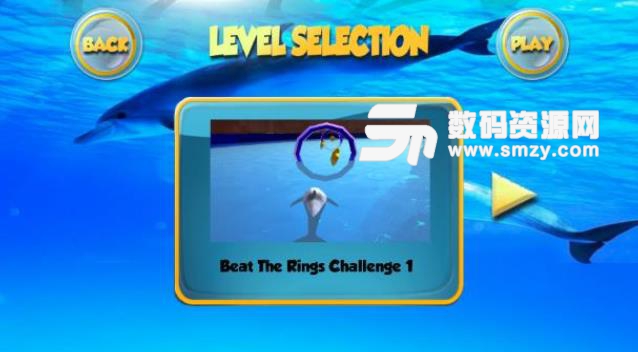 海豚水族馆趣味运动3D挑战赛安卓最新版