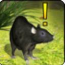 家鼠模拟器安卓版(模拟家鼠的游戏) v1.2 汉化版