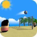 海滩排球最新版(生活休闲) v1.3 安卓版