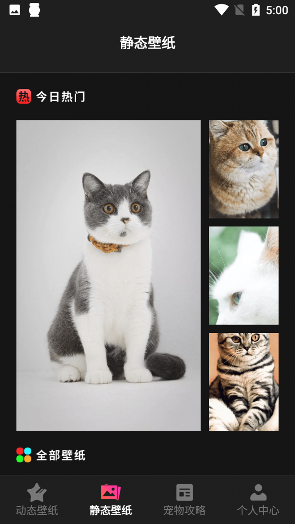 猫咪壁纸软件v1.3