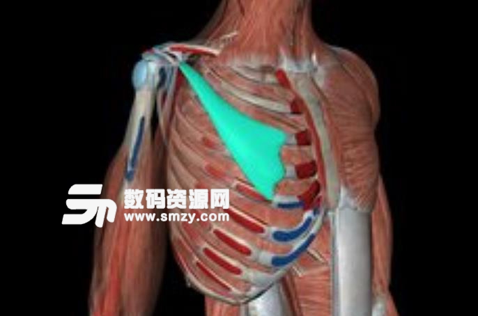 人体解剖学图集3D app