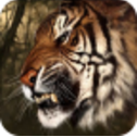 猎人部落之猛兽手机版(扮演猛兽的冒险) v22.3.4 安卓最新版
