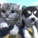 口袋宠物猫狗模拟3D安卓版(模拟类宠物冒险游戏) v1.2.6.7 手机版