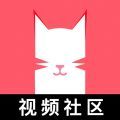 猫咪app视频正版v1.1.4