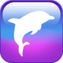海豚期货安卓版(财经新闻) v1.3 手机版