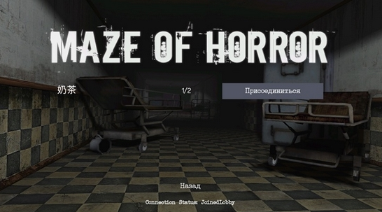 恐怖迷宫双人联机版(Maze Of Horror) 1