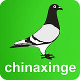 中国信鸽信息网v1.3 