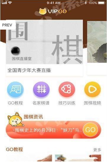 顽皮狗VipGo 1