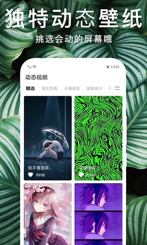 灵猫壁纸图库v1.0.1