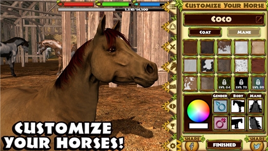 棕马模拟器游戏v1.3