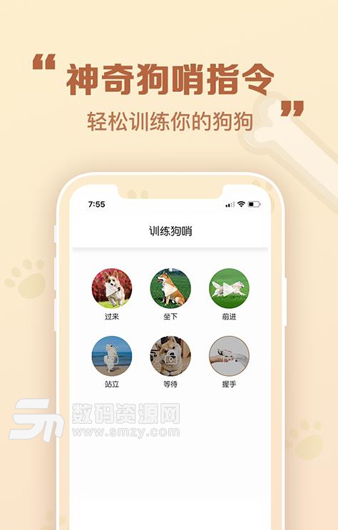 考拉人狗翻譯器最新zapp