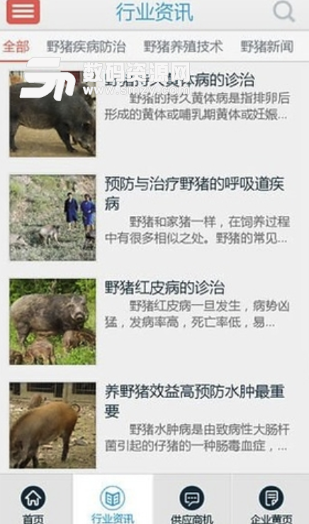 中国野猪网手机版
