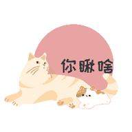 猫咪日记app1.2