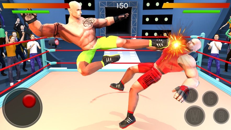 真正的摔跤革命Fight 3D官方版v1.3