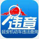 延安车辆违章查询appv1.3 安卓版