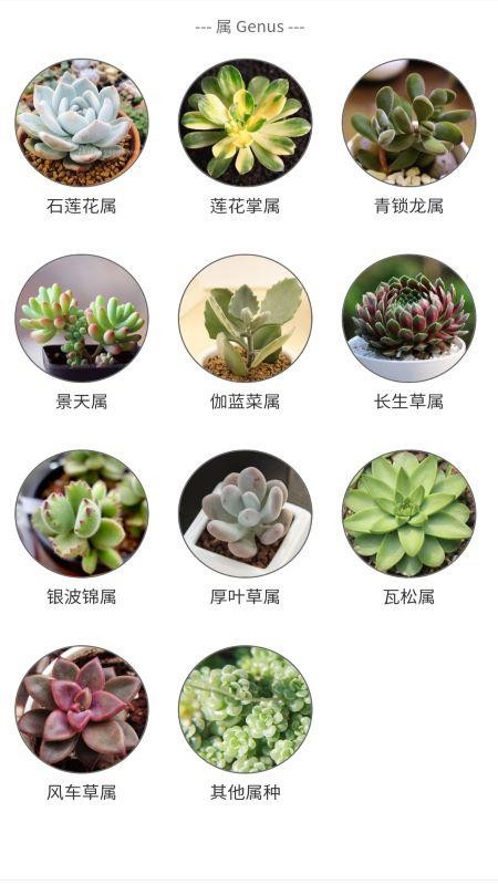 潮句多肉植物彙軟件1.2