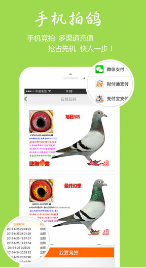 中国信鸽信息网手机版 2024063020220630