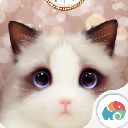 抖音猫眼壁纸动态app最新版(Ragdoll Cat) 安卓版