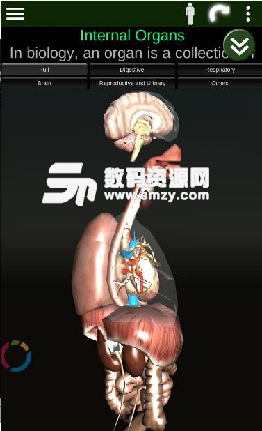器官3D安卓版下载