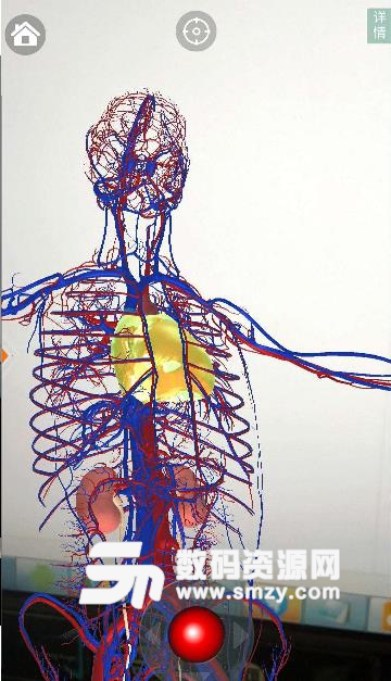 虚拟现实人体解剖app
