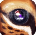 野兽相机安卓版(手机照片头像合成软件) v1.4 最新版