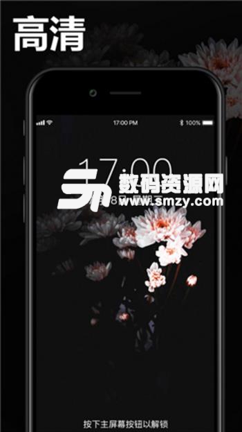 主题动态壁纸app