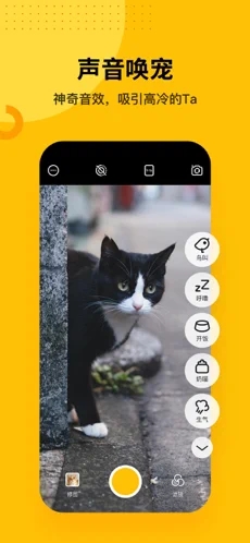 爪叽 app v1.11