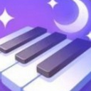 梦幻钢琴手机版(节奏类的音乐游戏) v1.0.3 安卓版