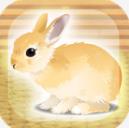 治愈兔兔养成汉化版(养育一只可爱的小兔子) v1.5 安卓手机版
