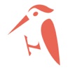 啄木鸟电竞v1.2.0