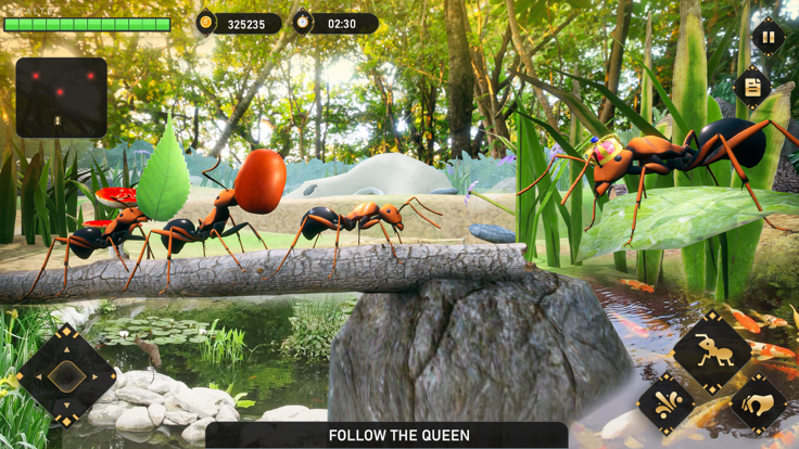 蚂蚁模拟器地下虫鼠民地战v1.0