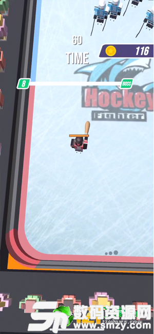 Hockey Fighter图1