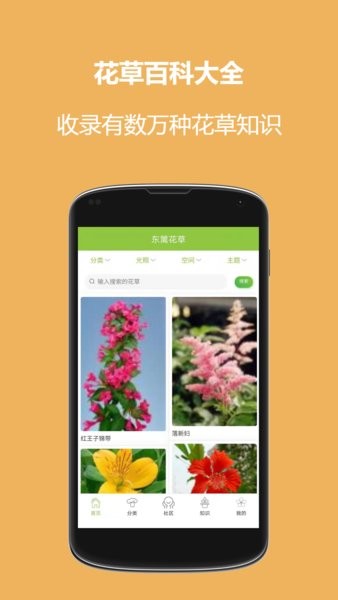 东篱花草app2.1.3