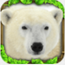 动物王国北极熊安卓版(扮演一只北极熊) v3.2.2 手机版