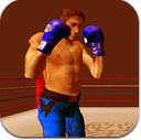 3D街机格斗手机正式版(类似格斗拳击) v2.2 安卓版