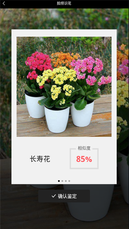 识花神器app20.13.05