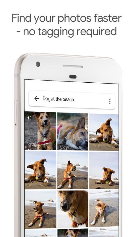 GooglePhotos中文版v4.12.0.232054664