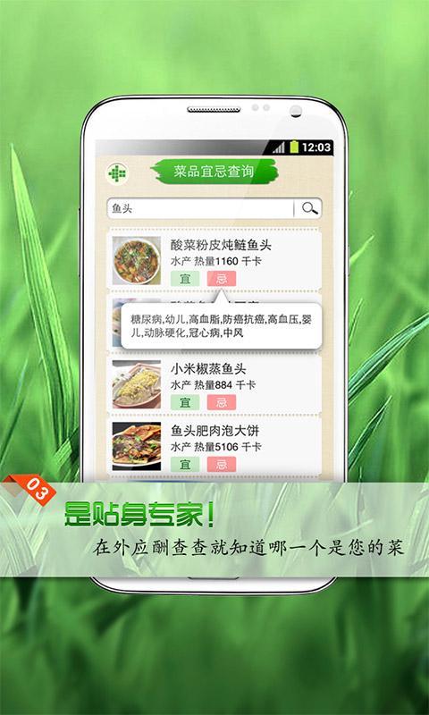 养生菜谱宝典HD1.1