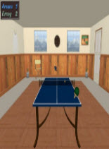 《乒乓球专业版》绿色版PC游戏
