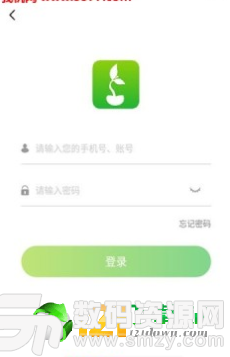 新豆牙图2