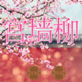 宫墙柳最新版(生活休闲) v15.4 安卓版