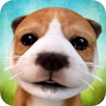 小布 世界上最可爱的狗狗v1.6.7