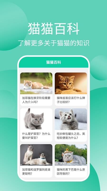 猫猫交流工具3.3.5